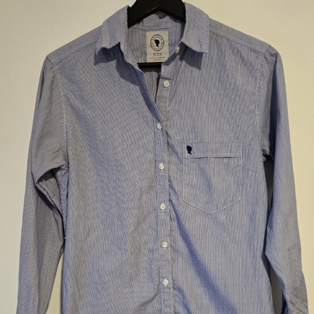 Aritzia Talula Oxford 100% cotton blue and white button down shirt size XXS